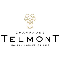 武汉回收玳慕香槟TELMONT-品牌介绍